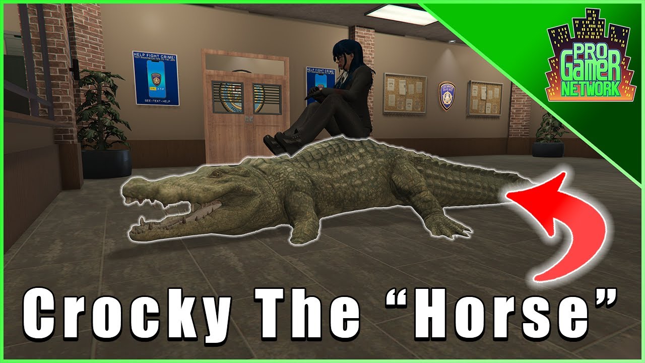 Crocky the "Horse" GTA 5 RP YouTube