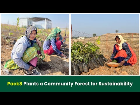 The Vision Behind Pack8's Project Aranyam