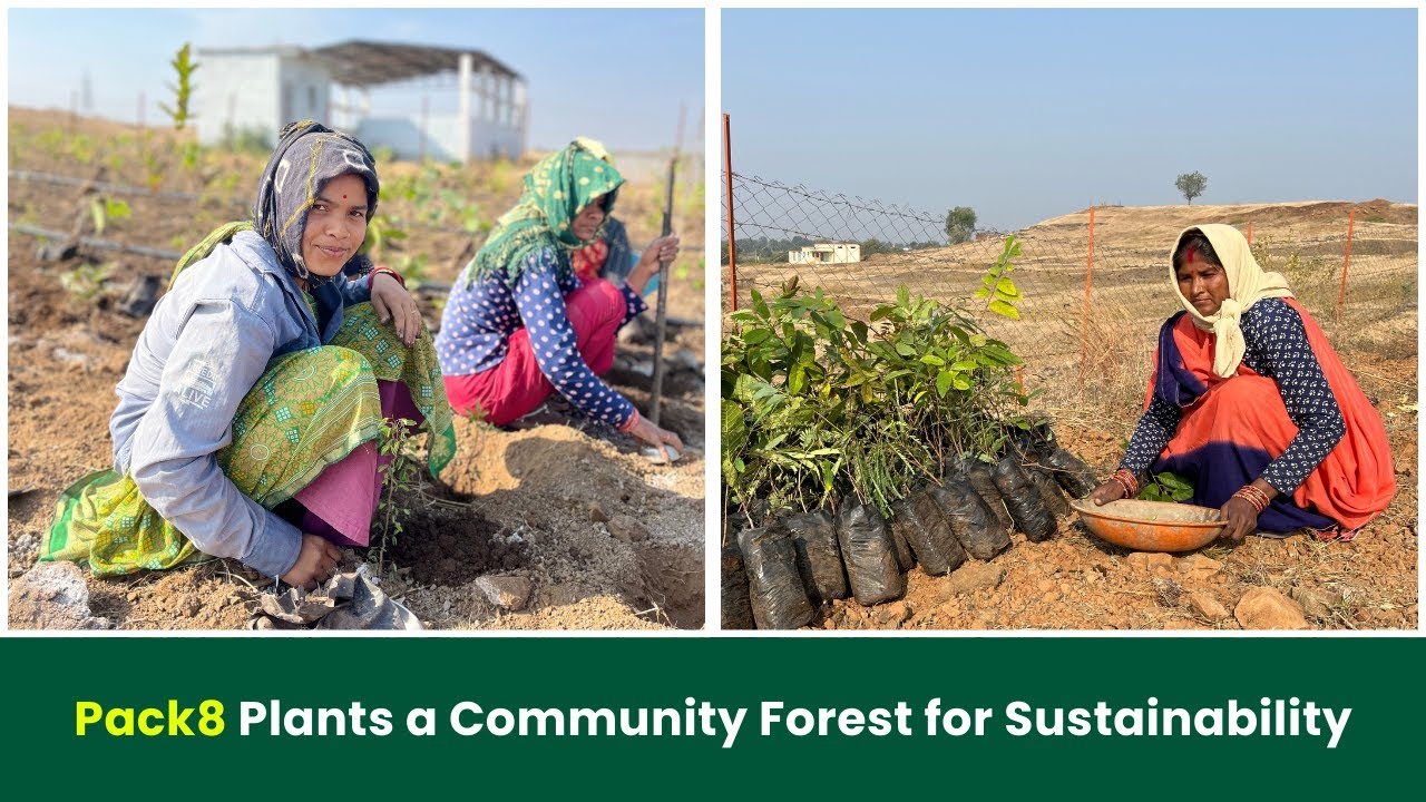 The Vision Behind Pack8's Project Aranyam | Grow Billion Trees