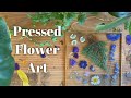 Pressing Flowers Between Glass - Cottage Vlog