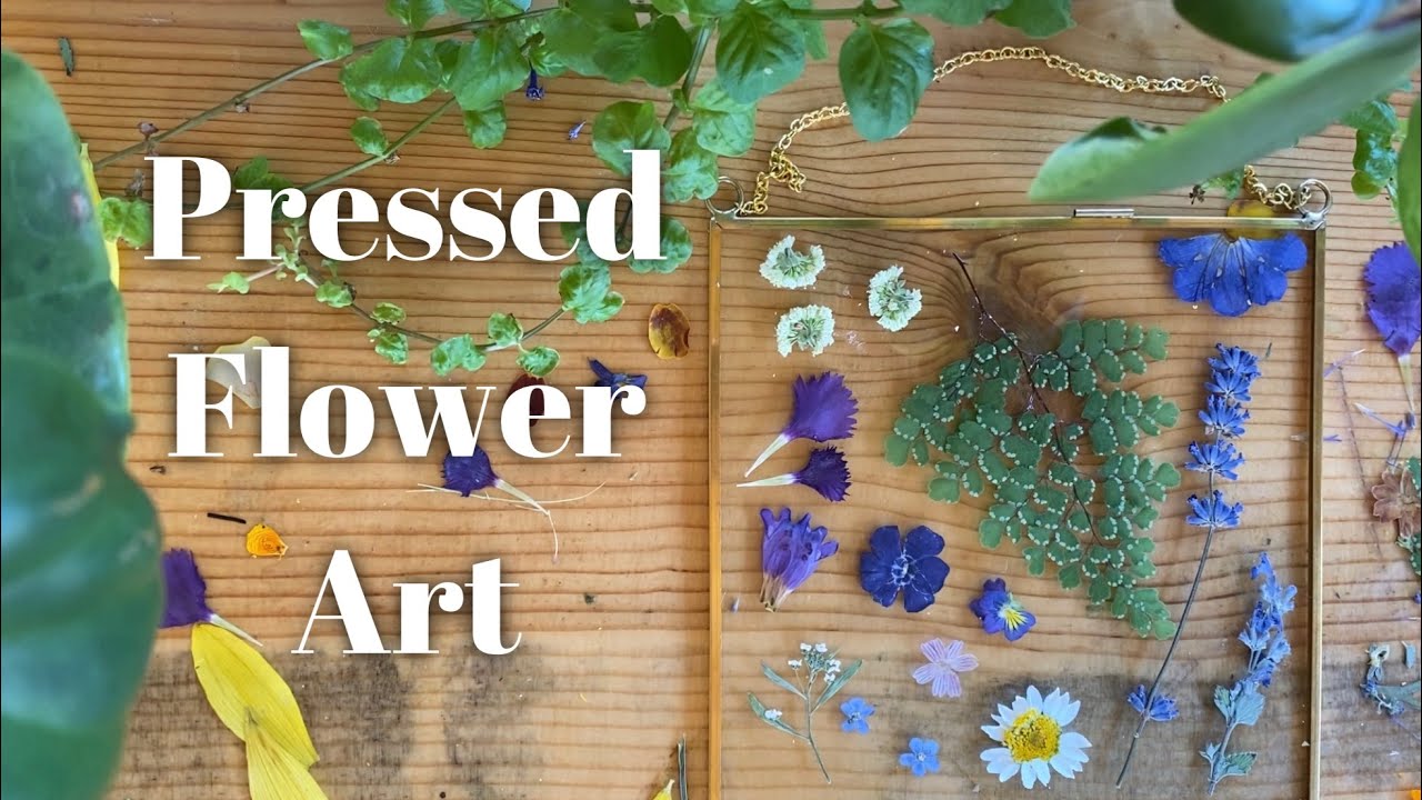 Pressed Flowers Art, Stained Glass, Art Ideas, Wall Art Ideas