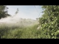Beginning of video