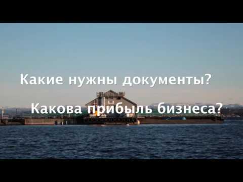 Разведение форели (бизнес план)