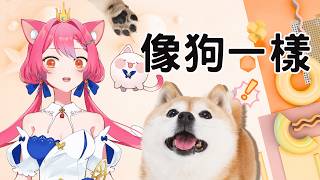 【#紗嗓放送】宇宙人 - 像狗一樣  ➤Sung by 愛紗公主