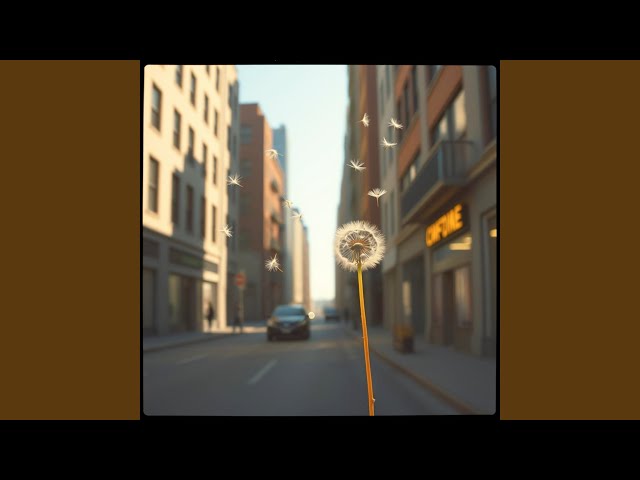 Urban Groove