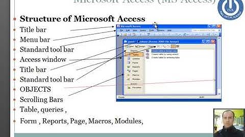 Describe application window of MS Access/DIT Course in Pashto/ Iqbal Virtual Academy/Javed Iqbal