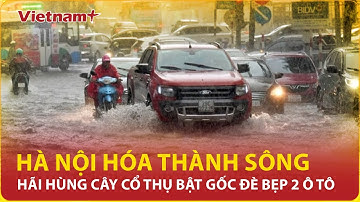 Hà Nội hóa thành sông: Mưa trắng trời sau bão số 5, hãi hùng cây cổ thụ bật gốc đè bẹp 2 ô tô
