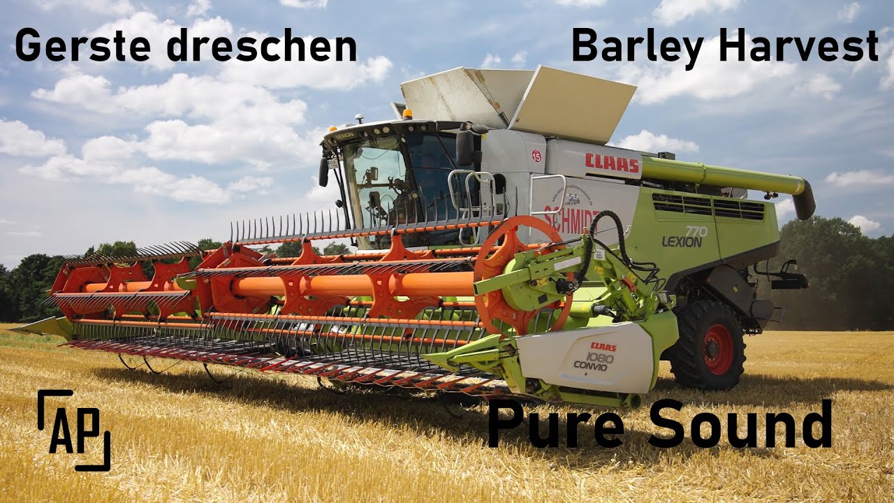 [4K] Gerste ernten Barley harvest 2025 Claas Lexion Action Pure Sound