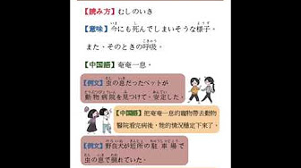 最も共有された 動物 慣用 句 動物慣用句 一覧 Gainjpgazo