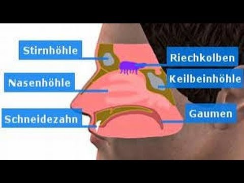 Video: Nasenbluten In Der Nacht: 5 Ursachen