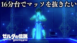 16分でマスターソードを抜きたい【マッソ早抜きRTA】【ゼルダの伝説ブレスオブザワイルド】