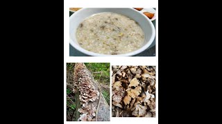 Wild fungus @ kodop porridge
