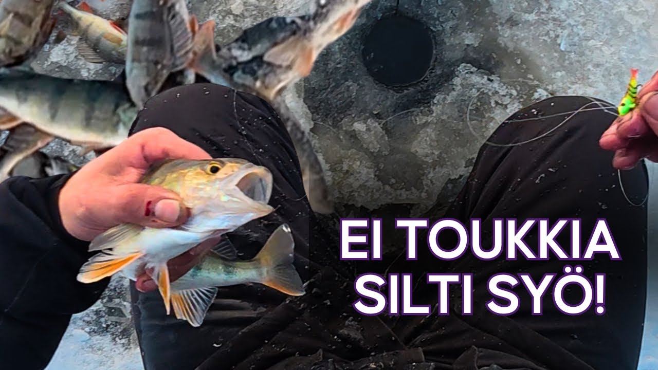 KAUSI AUKI - ENSIJÄIDEN AHVENPAIKAT - AHVENET LÖYTYVÄT LÄHELTÄ MANNERTA - EI TARVITTU TOUKKIA