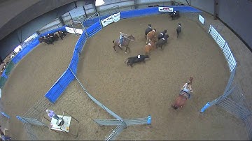 Big Sky Ranch Sorting Saddle Series #6 - #3 - Round #1 - Ride #16