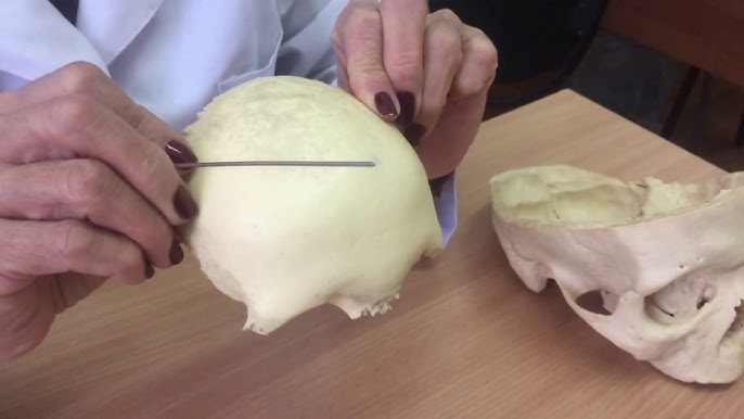 Семейде секс массаж Ральфпен жыныстық қатынас