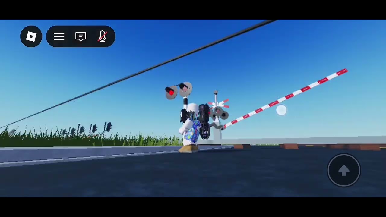 spoorwegovergang​ laag​ Zuthem​ // dutch​ railroad​ crossing​