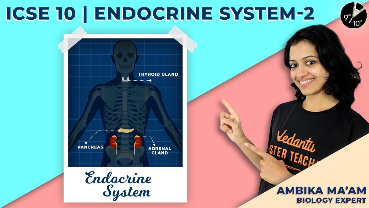 Endocrine System L2 ICSE Biology Class 10 Board Exam Science