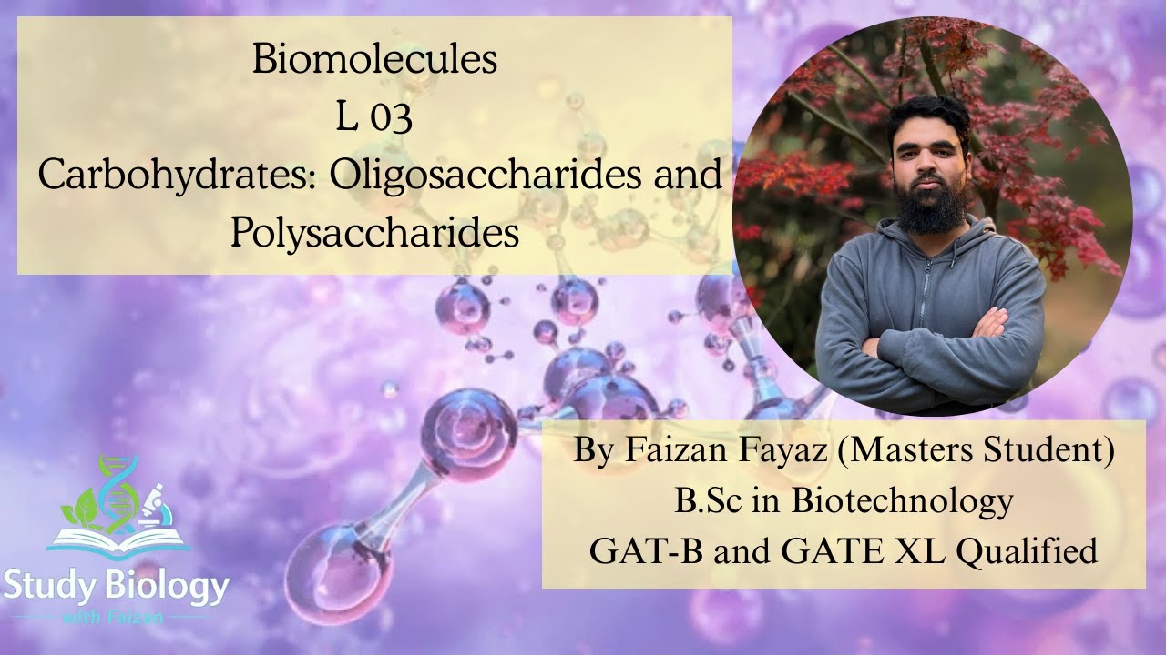 Class 11 Biology | Biomolecules – Carbohydrates – Oligosaccharides & Polysaccharides | Lecture 3