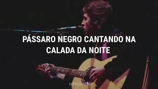 The Beatles - Blackbird [Tradução/Legendado]