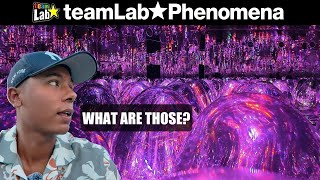 [4K] teamLab Phenomena Abu Dhabi - ARTWORK 12 Walkthrough | World's Largest Immersive Experience| 🇦🇪