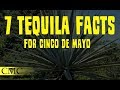 7 Tequila Facts for Cinco de Mayo! Tequila Styles, Agave and the Worm?