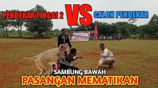 SAMBUNG BAWAH‼️PENDEKAR SABUK MERAH TINGKAT 2 VS CALON PENDEKAR IKSPI