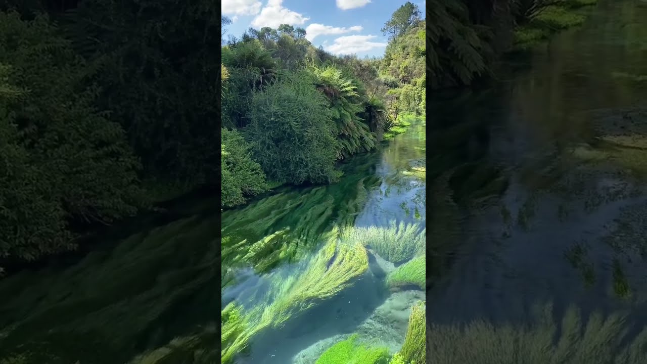 Beautiful Green River