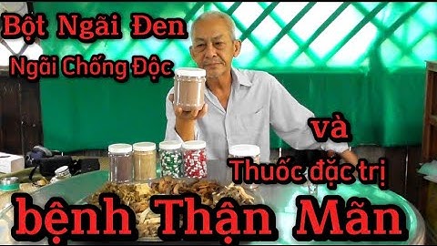 bột Ngãi Đen  Ngãi chống độc và thuốc đặc trị bệnh Thận Mãn