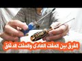 الفرق بين المفك العادى والمفك الدقاق دندنها