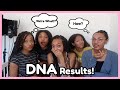 SURPRISE ANCESTRY DNA RESULTS! 😱