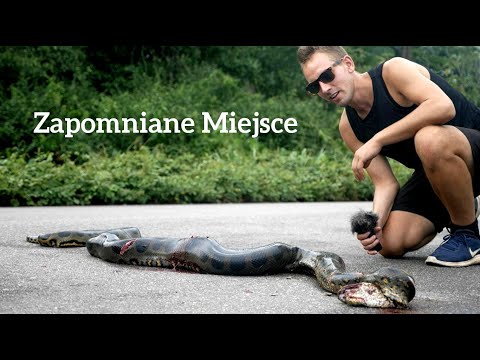 Gujana - zapomniane miejsce na Ziemi