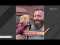 Fight dog that refused to hurt others