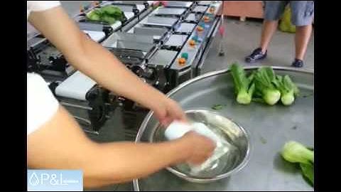 linear combination weigher Meat/Vegetables