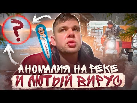 Такой аномалии на реке еще не было. Распилил баню. Подхватили лютый вирус.