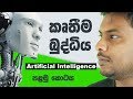 Artificial Intelligence 🧠 🇱🇰 Episode 01