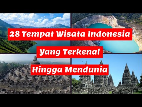 Video: Tips Cepat Menampilkan, Menyimpan & Mengatur Anggur dan Minuman Keras Anda