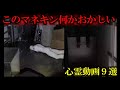 【ゆっくり解説】呪われたマネキンにゾゾゾっ!!!最恐の心霊映像9選