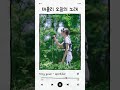 태플리 오늘의 노래 추천 #54🥲모든 것이 변해 버린다 해도: tiny yawn - sparkler