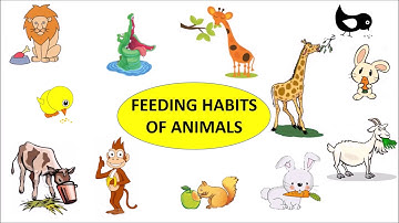 CBSE: Class 3: Science: Feeding Habits of Animals