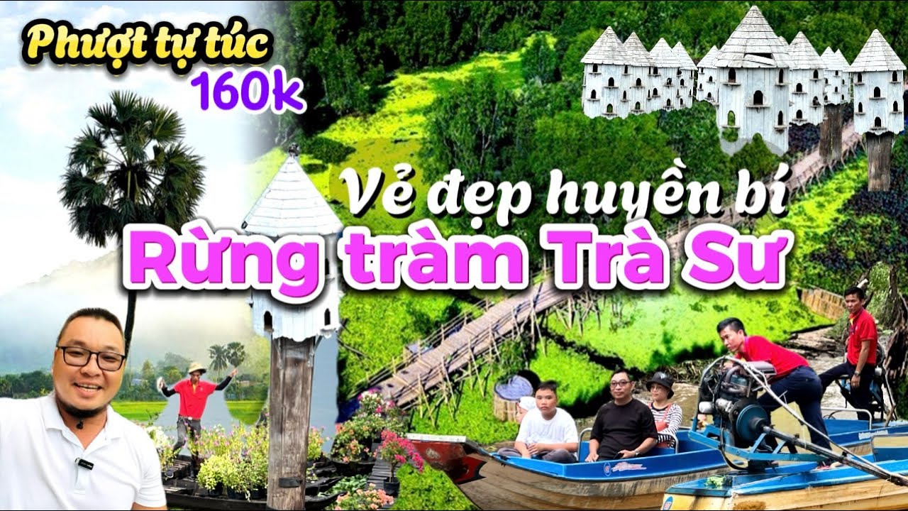 493. An Giang - Đi tự túc Rừng tràm Trà Sư, cánh đồng Thốt nốt An Giang bất ngờ vì nét đẹp siêu thực