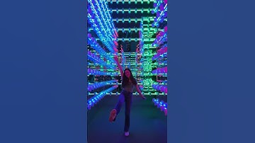 An Exhibition of LEGO® | Fever