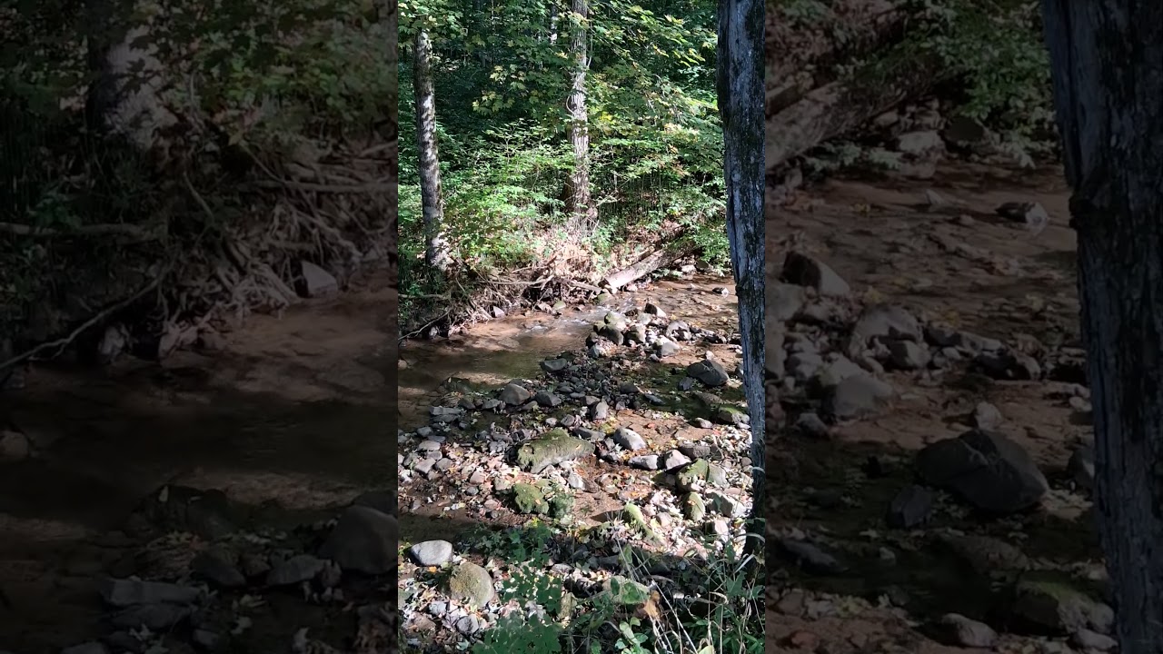 Morning on Long Creek - Del Rio TN