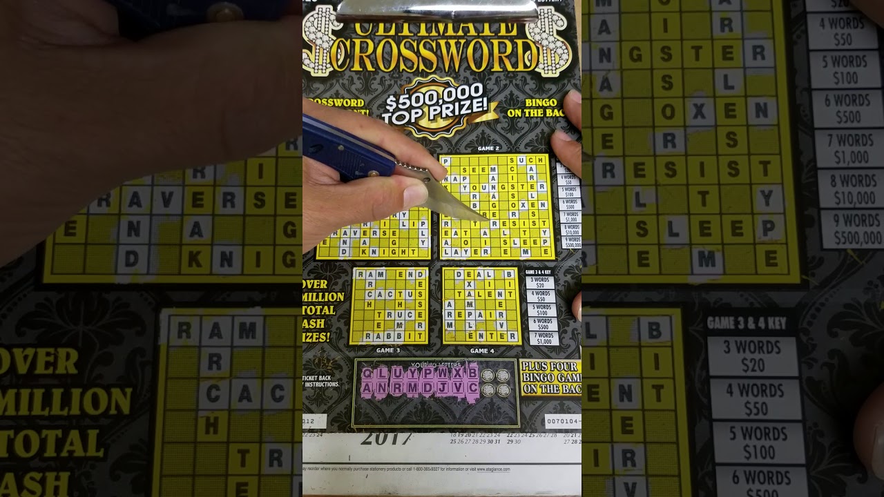 New $20 Crossword/Bingo camera iphone 8 plus apk