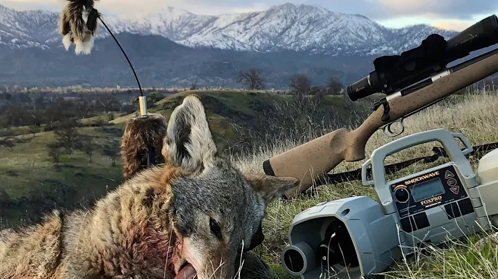 Using FoxPro to call in coyotes