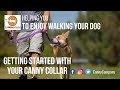 Getting started with your canny collar