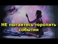 Если вы пытаетесь торопить события, Вселенная создает препятствия в ответ.