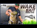 Wake Bait Bass Fishing Tips with John Cox