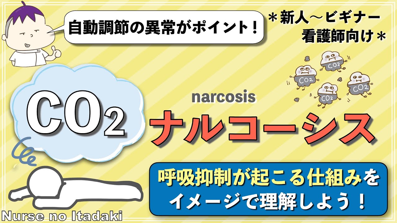 【CO2ナルコーシスってなに？】呼吸抑制が起こる仕組みを､イメージで理解しよう！