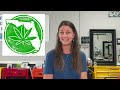 Indiana Judge Suspended Over Cannabis Use!  International roundup; Curaleaf wants to Up list!