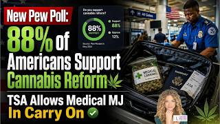 Indiana Judge Suspended Over Cannabis Use  International Roundup Curaleaf Wants To Up List